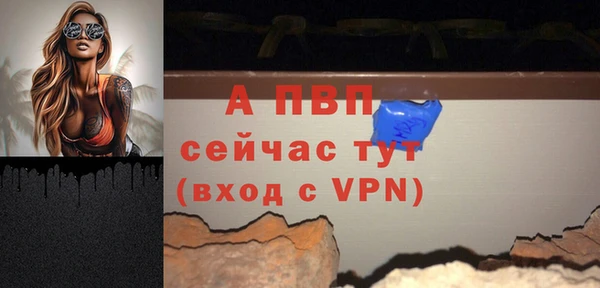 mdpv Бородино