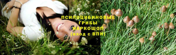 таблы Богданович