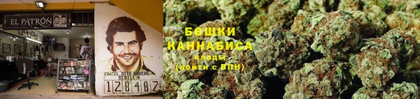 мдпв Бугульма